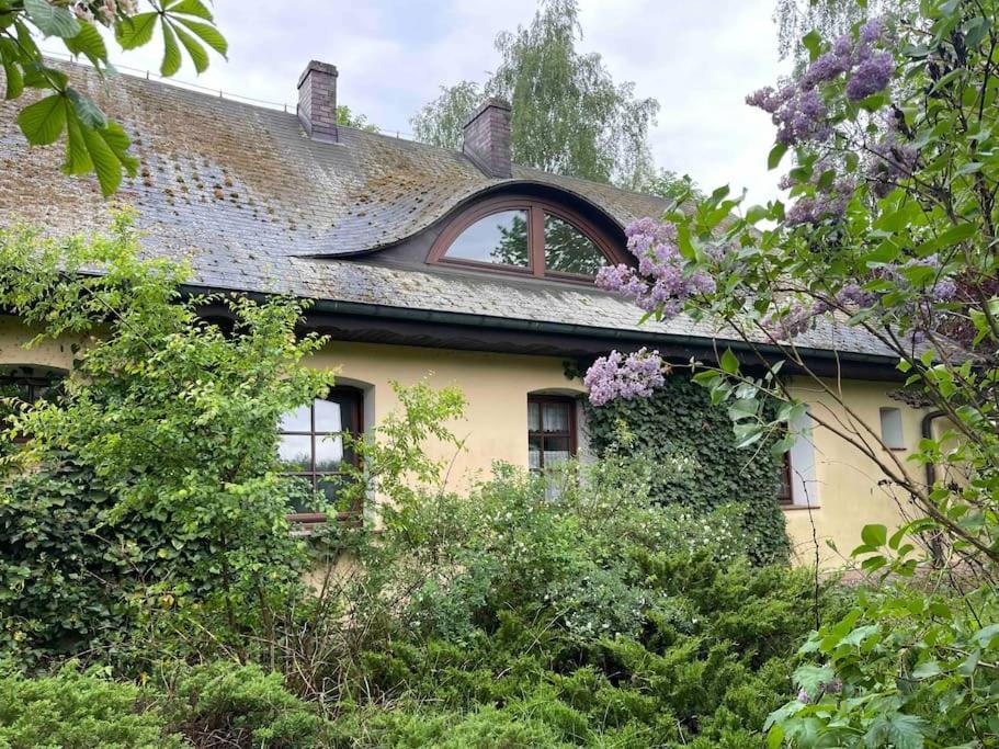 Komfortowy Dom W Lesie Miedzichowo Eksteriør bilde